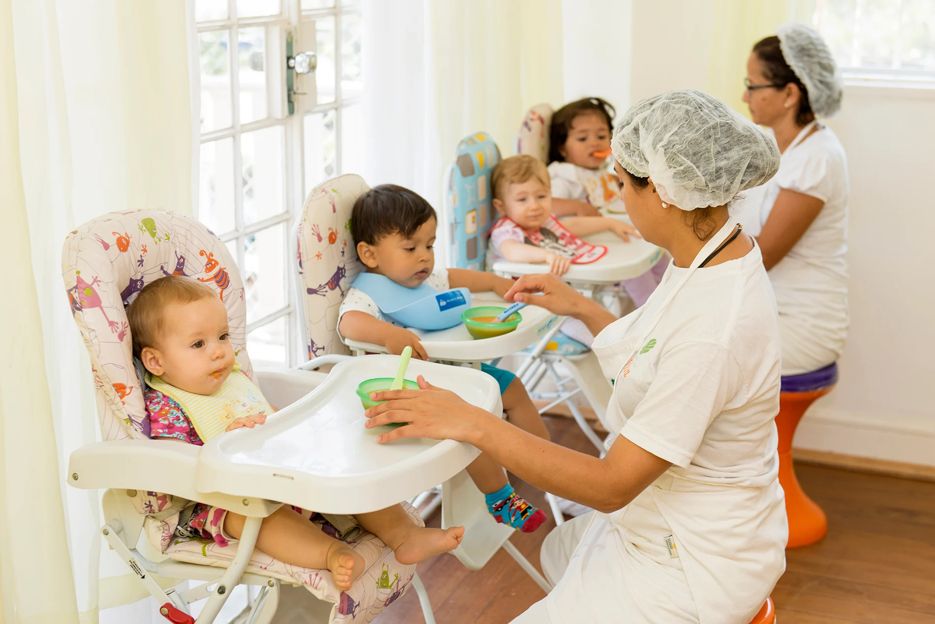 Alimentação Alimentação